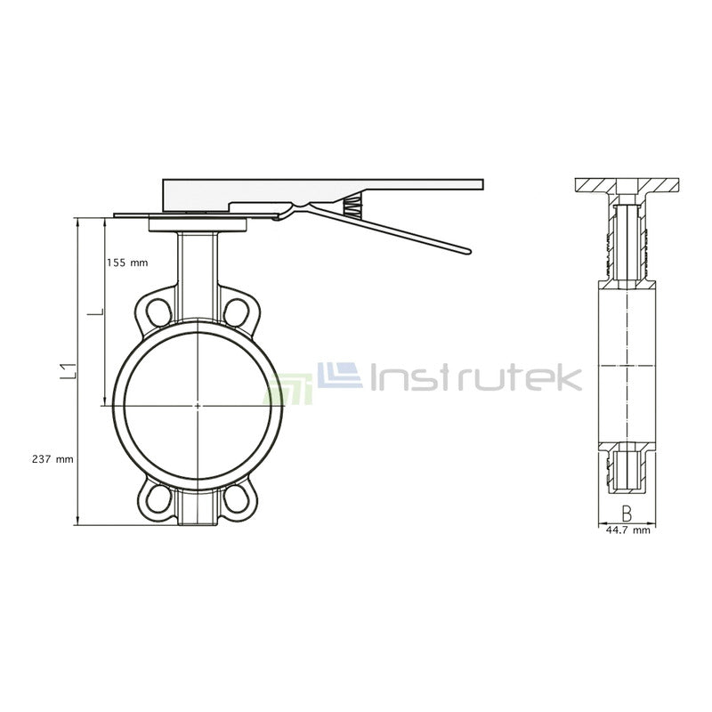 Butterfly Valve, 2.5 IN, Cast Iron