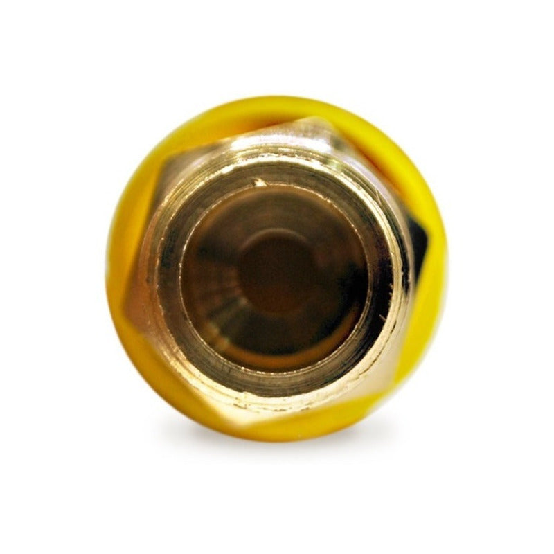 1/4 NPT Compressor Safety Valve at 200 PSI