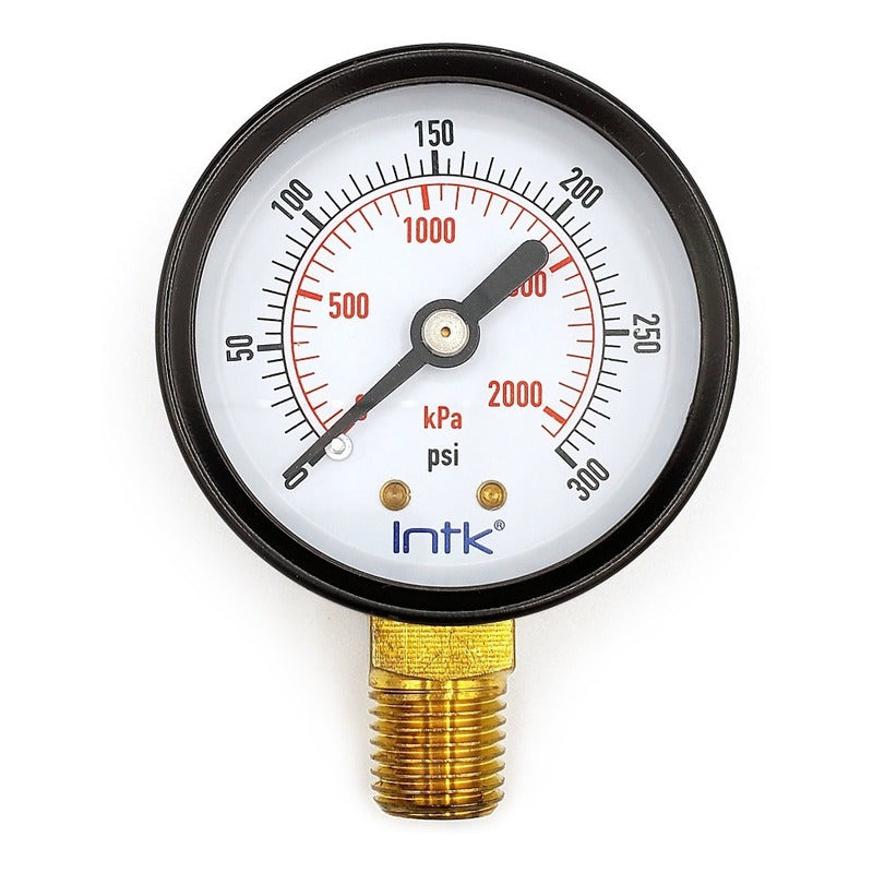 2" Standard, dry, pressure gauge, black steel case, 1/4" NPT, bottom connection, 0 to 300 psi-kPa