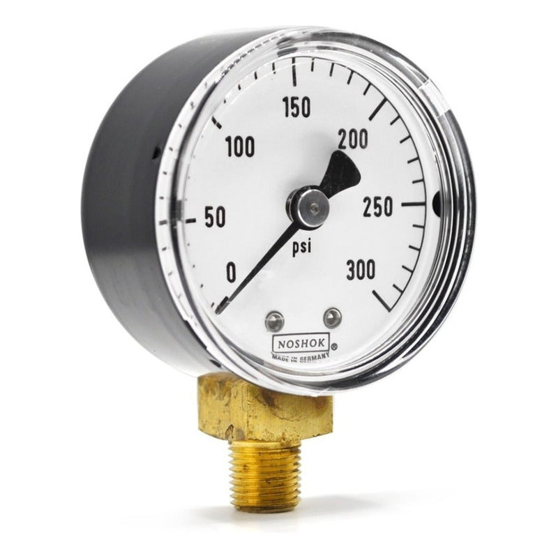 Manómetro 2", caja de ABS, 1/4" NPT, inferior, 300 psi