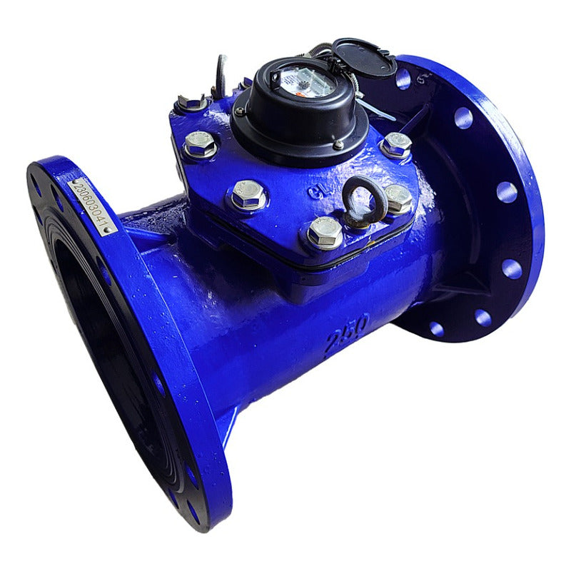 Medidor De Agua Bridado Tipo Turbina Woltman 10 PLG (250 Mm)