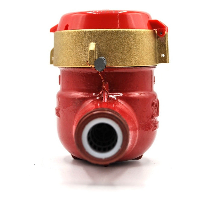 Medidor De Agua Caliente Cuerpo De Hierro 3/4 C/conexiones