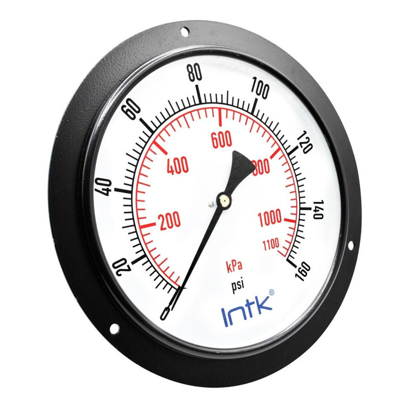 8 PLG Boiler Pressure Gauge, 160 Psi, Back Connection