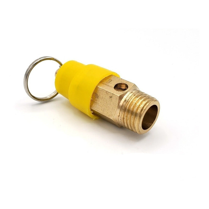 1/4 NPT Compressor Safety Valve at 120 PSI