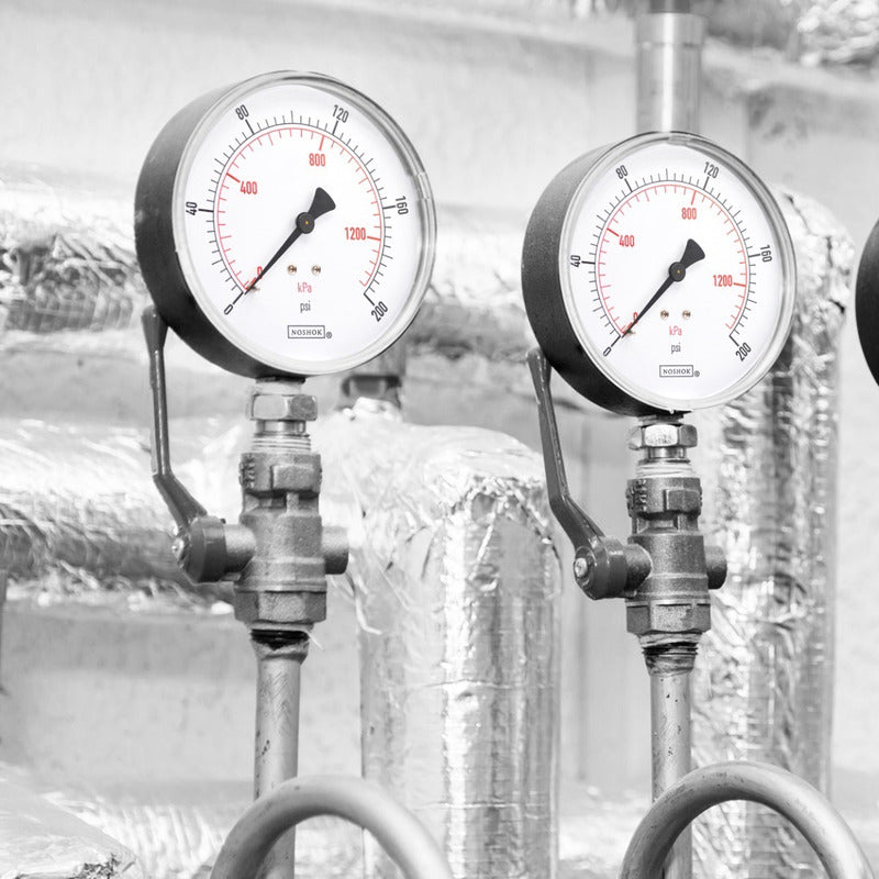 Noshok Pressure Gauge for Food Processes, Abs Box, 200 Psi