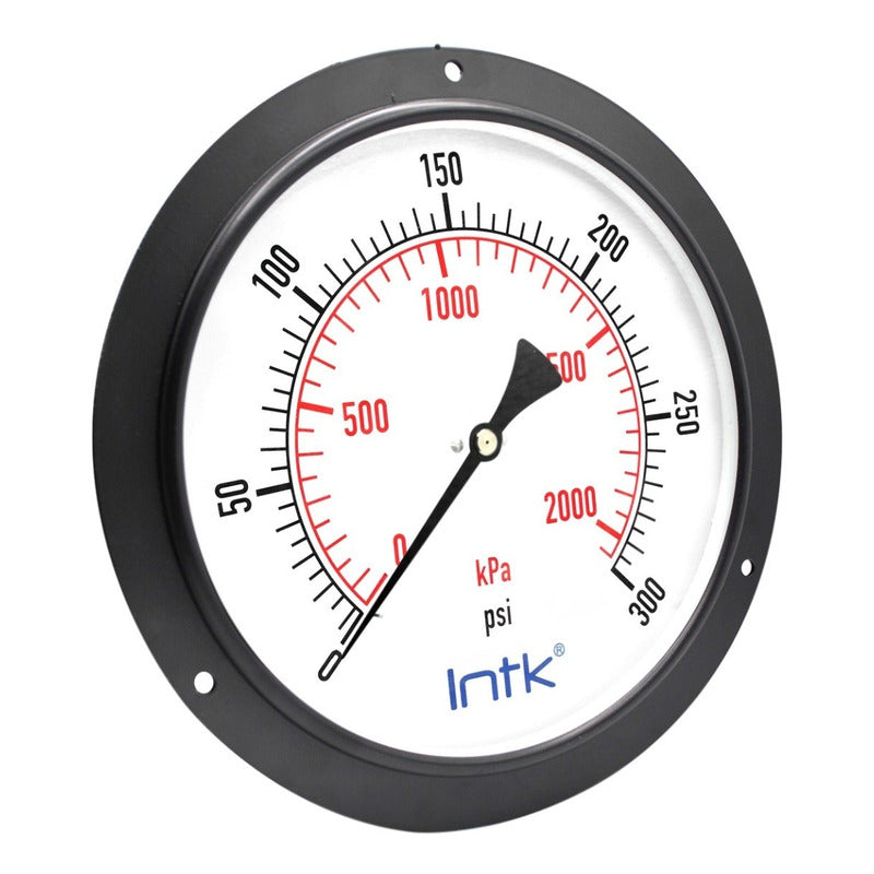 10" Standard, dry, pressure gauge, black steel case, 1/2" NPT, back connection, 0 to 300 psi-kPa
