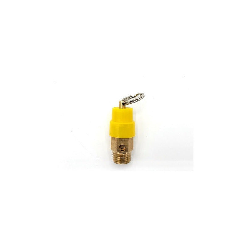 1/4 NPT Compressor Safety Valve at 120 PSI