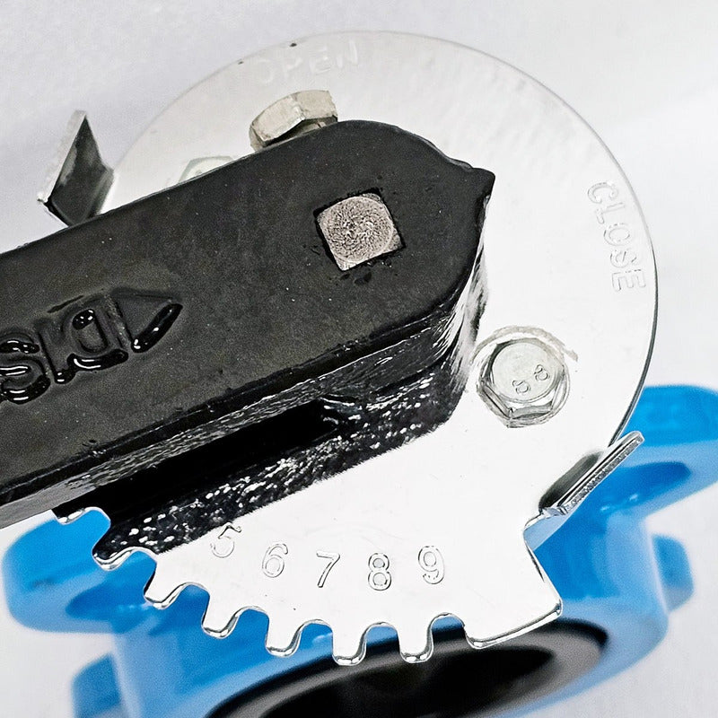 Butterfly Valve, 2.5 IN, Cast Iron