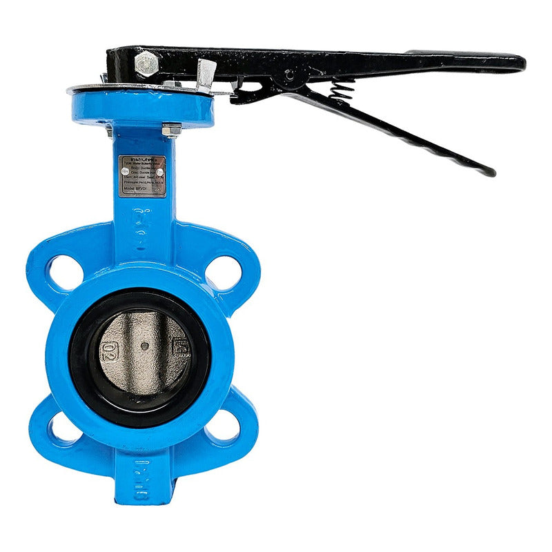 Butterfly Valve, 2.5 IN, Cast Iron