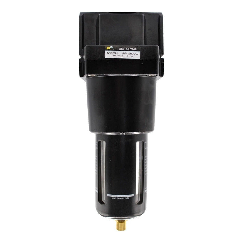 Filtro baja presión, 1" NPT