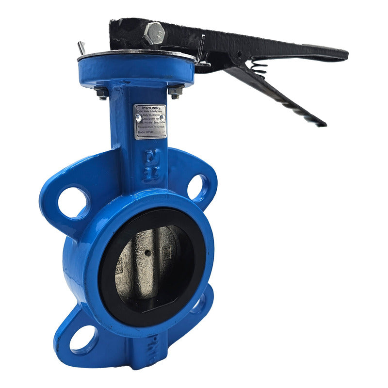 Butterfly Valve, 2.5 IN, Cast Iron