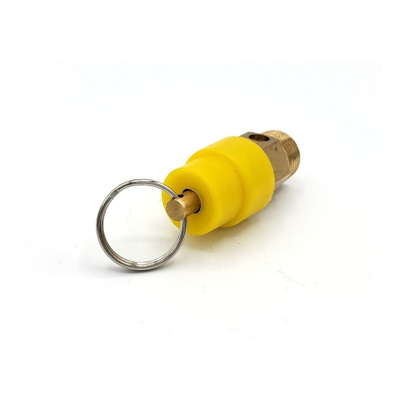 1/4 NPT Compressor Safety Valve at 120 PSI