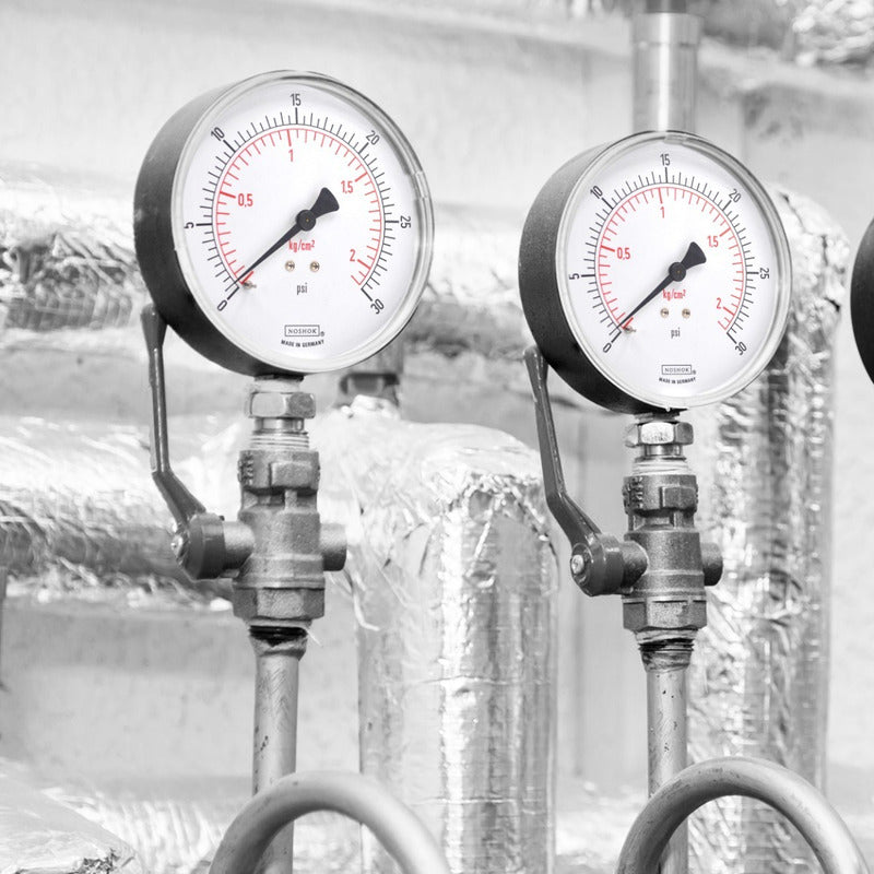Noshok Pressure Gauge for Food Processes, Abs Box, 30 Psi
