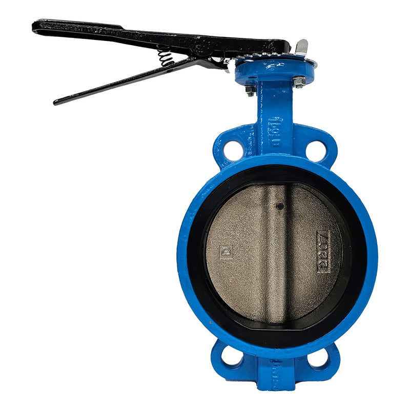 Butterfly Valve, 6 Inch, Cast Iron.