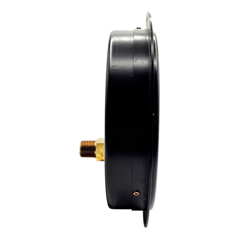 8 PLG Boiler Pressure Gauge, 300 Psi, Back Connection