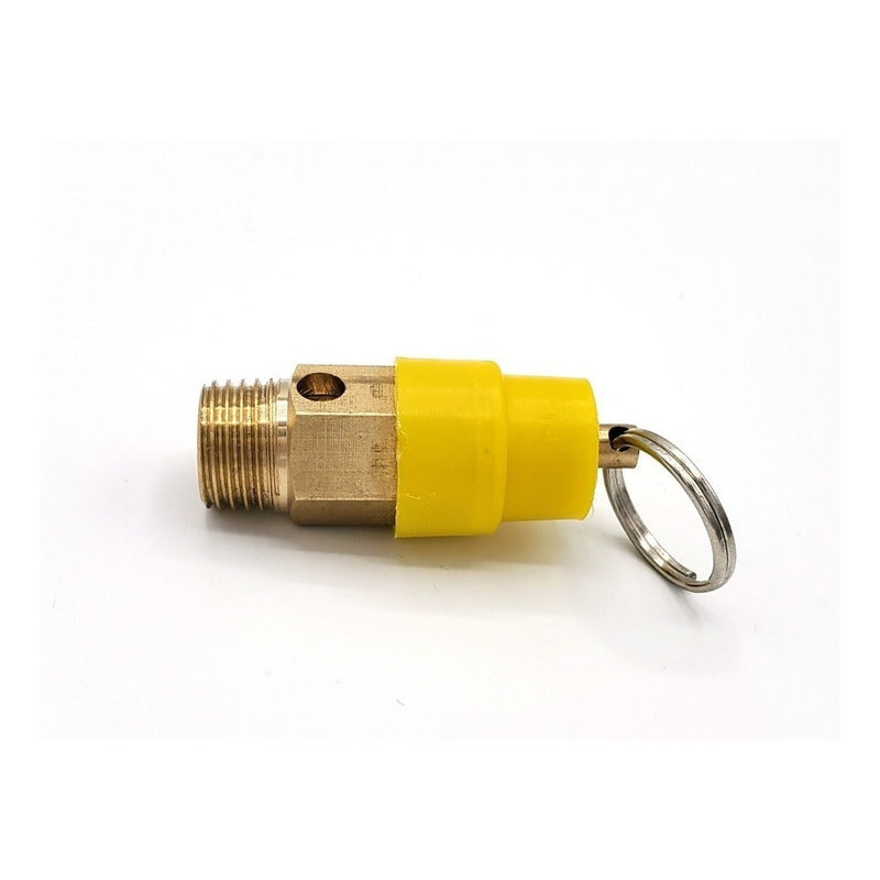 1/4 NPT Compressor Safety Valve at 120 PSI