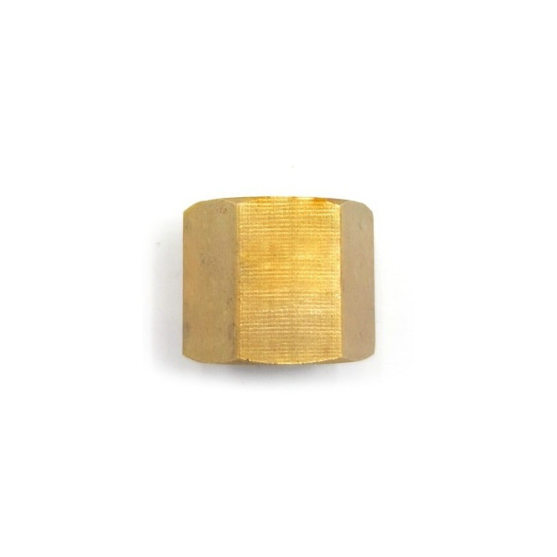 Brass Female Plug 1/4 Npt 10 Pz