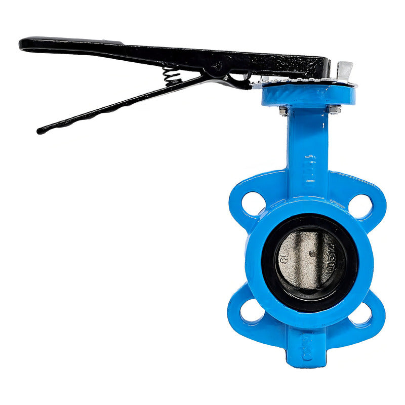 Butterfly Valve, 2.5 IN, Cast Iron 