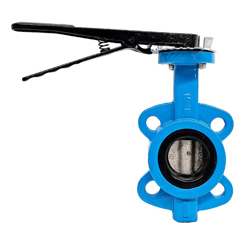 Iron Butterfly Valve, 2 IN