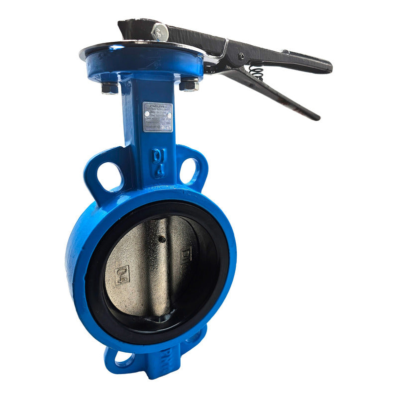 Butterfly Valve, 4 IN, Cast Iron.
