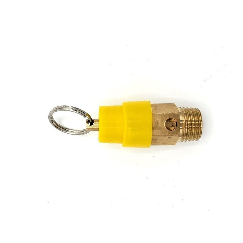 1/4 NPT Compressor Safety Valve at 120 PSI