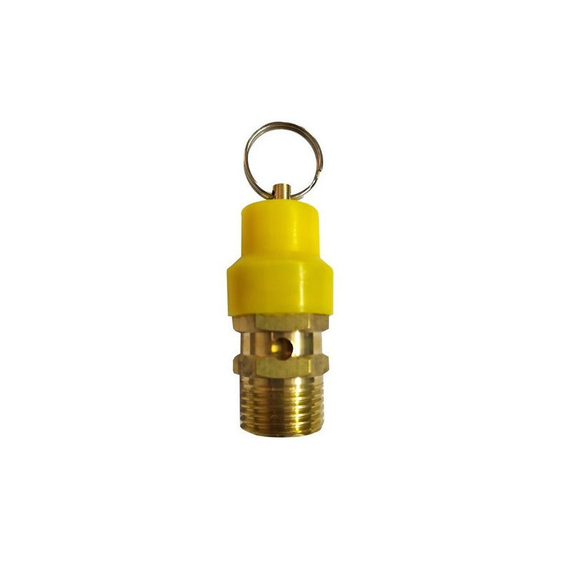 Safety Valve For Compressor From 1/2 Npt To 120 Psi